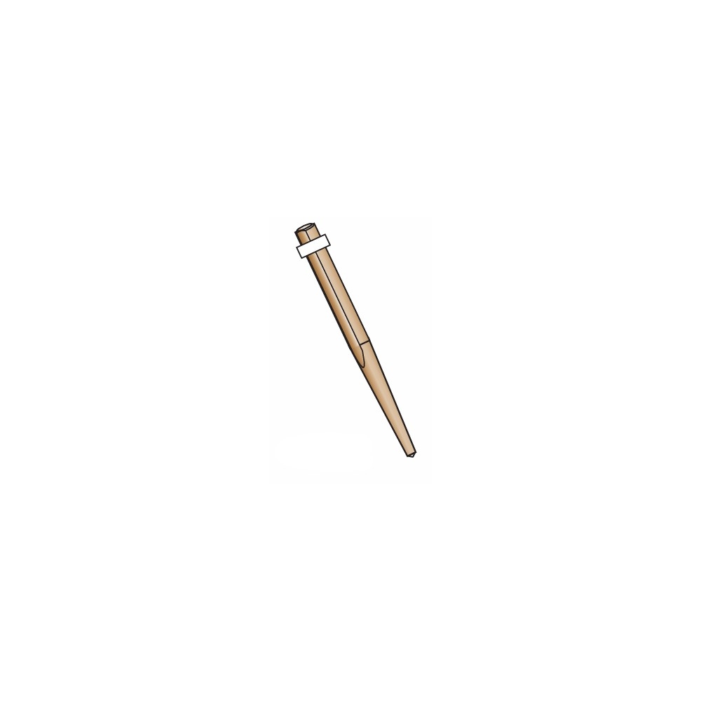 Tenons Cylindro-Coniques "PEEK-OPTIMA Polymer" Cône Long - STABYL - 6u Tenons Cylindro-Coniques "PEEK-OPTIMA Polymer" Cône Long - STABYL - 6u