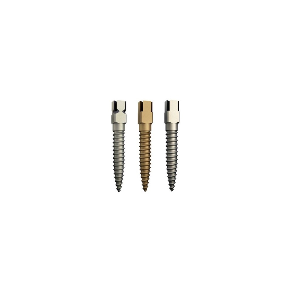 Screw Post Surtex Titane - DENTATUS - 15u