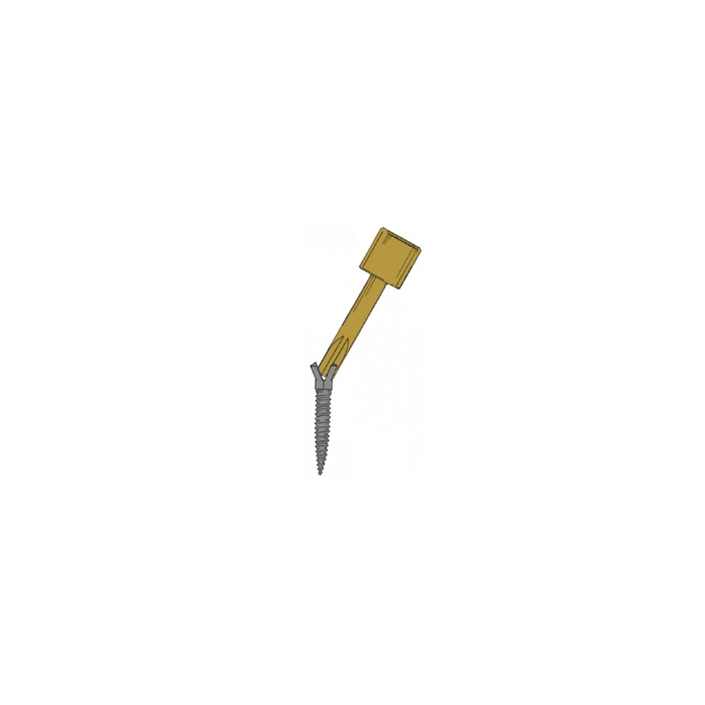 Clé Screw Post - DENTATUS - 1u
