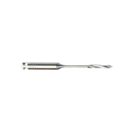Foret Largo - DENTSPLY MAILLEFER - 6u