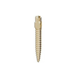 Screw-Post Surtex Doré - DENTATUS